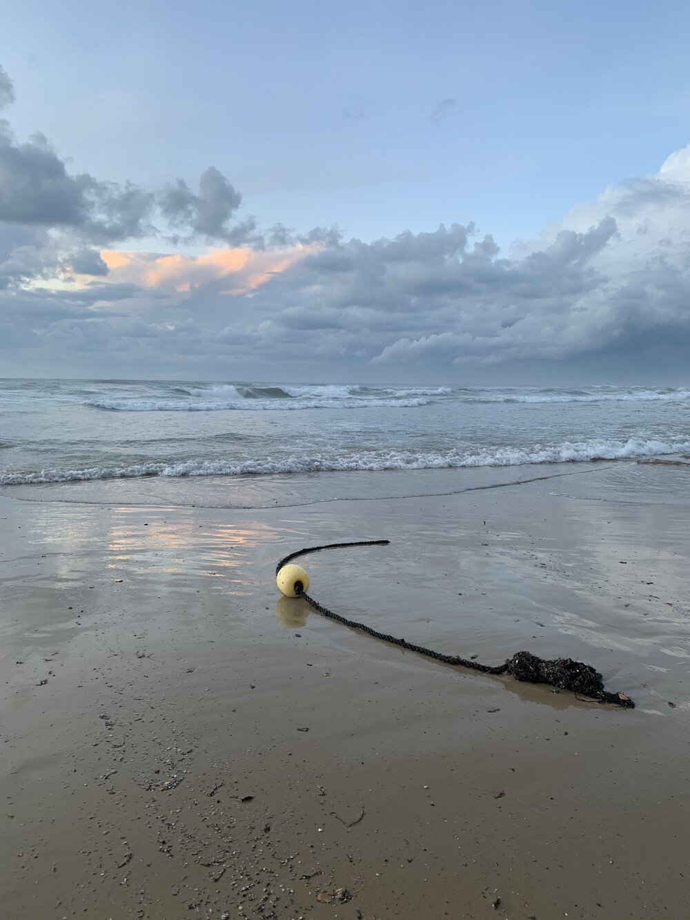 Alma Beach #2.jpg