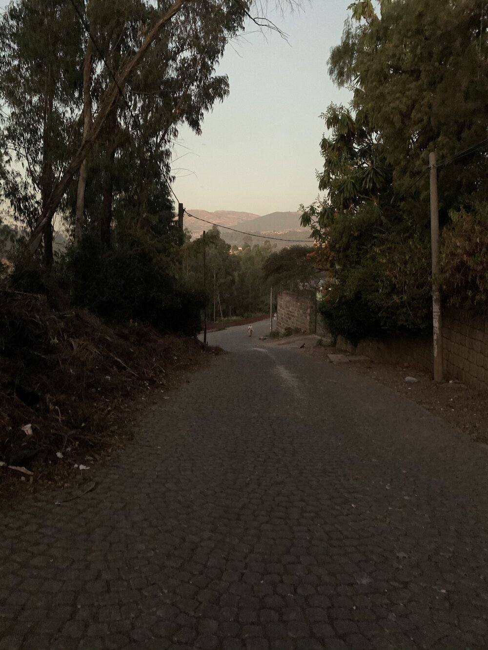 Addis morning cobblestones.jpg