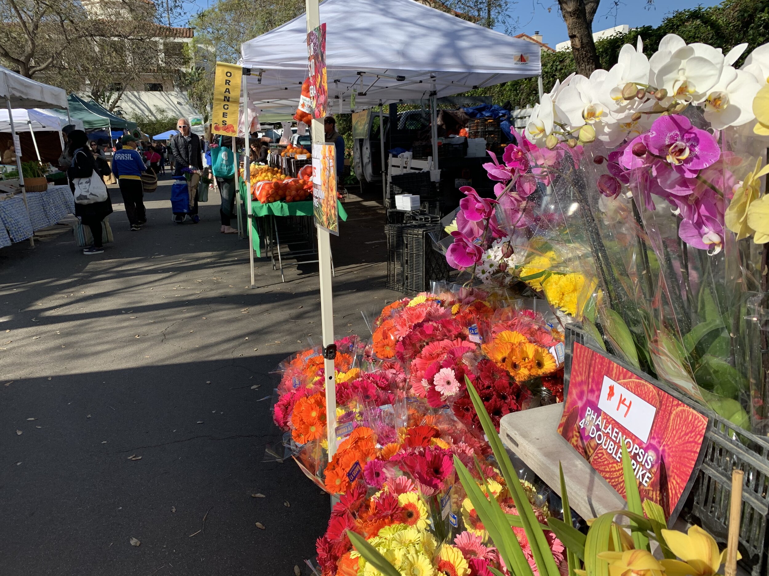 SB Farmers Market.jpg