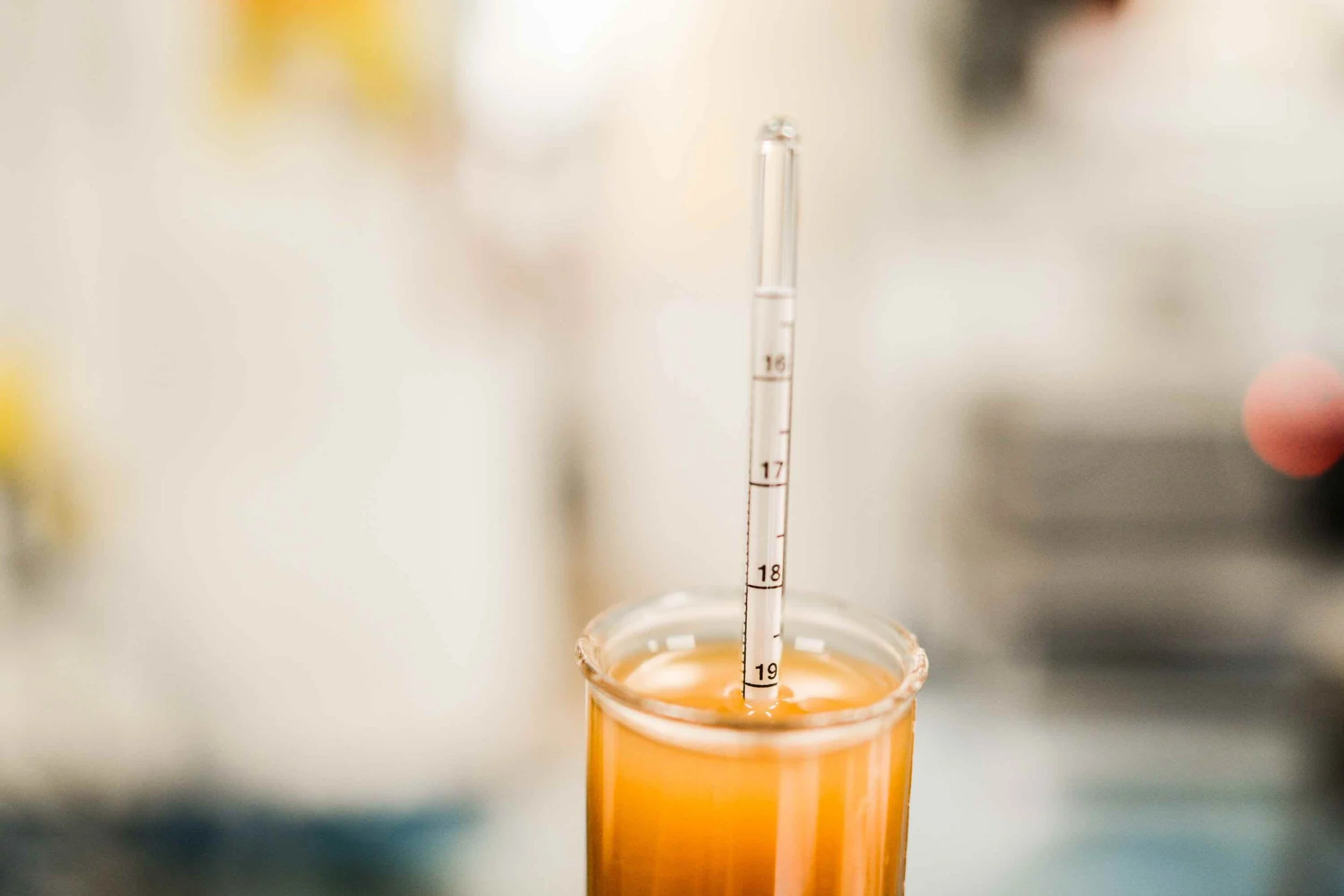 Terminal Gravity Brewer — Terminal Gravity Brewing