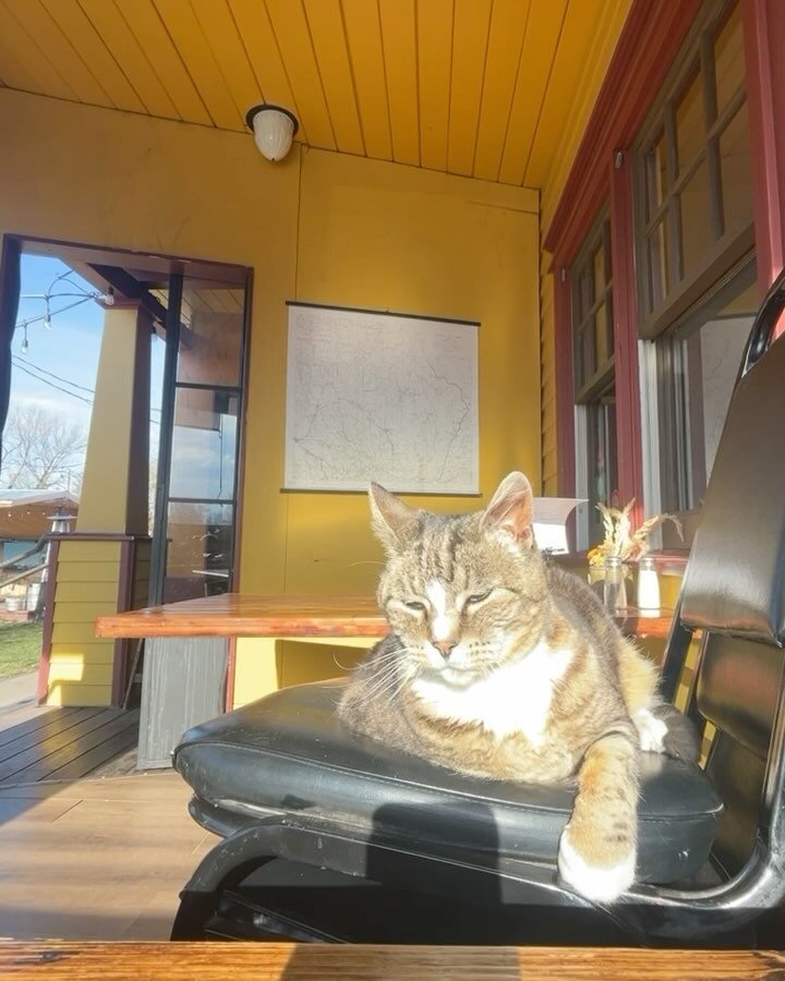 Fire and Ice Pizza (and a sleepy, happy Hops the Pub Cat) are here today from 3-9pm!

Swipe to see their full menu 🍕