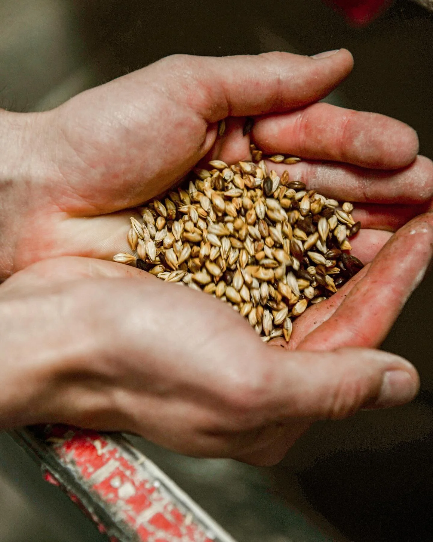 Here&rsquo;s to 2024 and another year of doing what we do best: making beer with the wild, hard working, community spirit of Wallowa County, and delivering beer that we&rsquo;re genuinely proud to share with you all. 

📸 @taliajeancreative