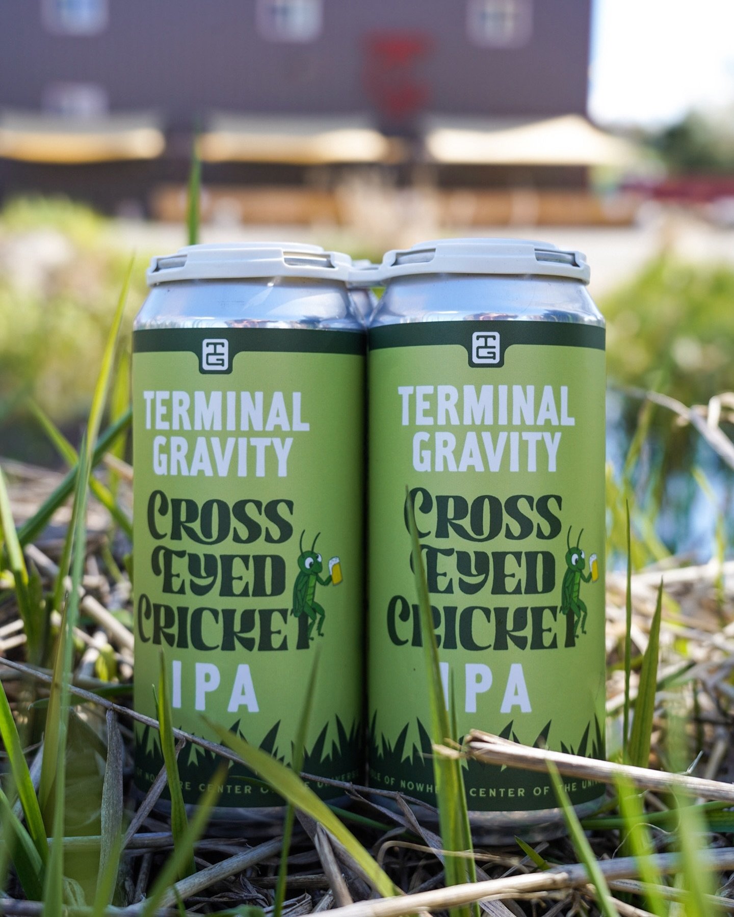 Say hello to our old friend, Cross Eyed Cricket! This classic IPA is back for a very short time, 16 oz at a time. 

Grab a pint or a four pack of cans at the pub, or find it on tap at around PDX and Vancouver in the coming weeks.