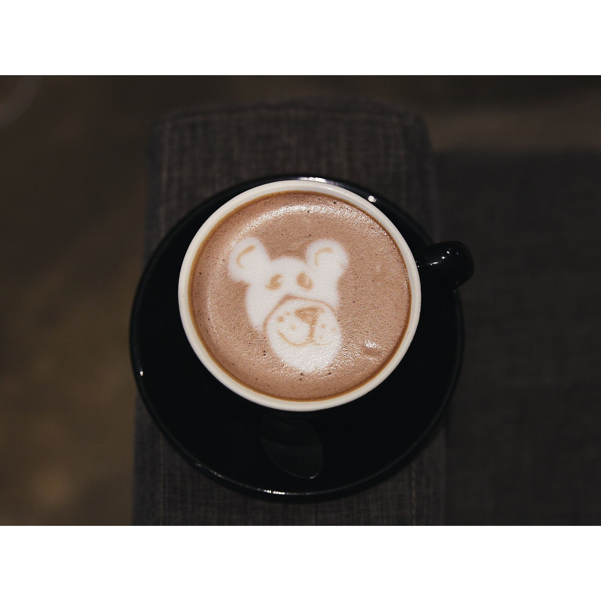 Paper Fox Coffee 0001.jpg