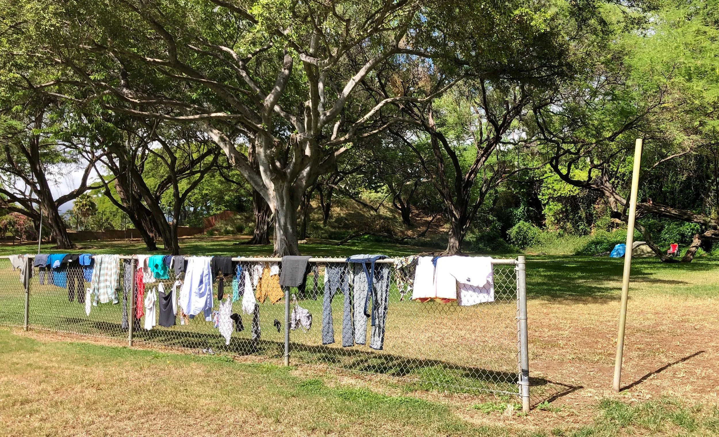 Donald Trump is Correct on this one! ©