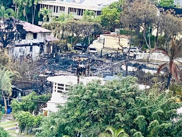 The Murder Of My Neighborhood©