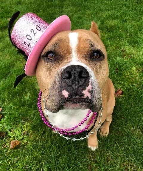 The Reboot Of 2020 And It Begins With Easter©