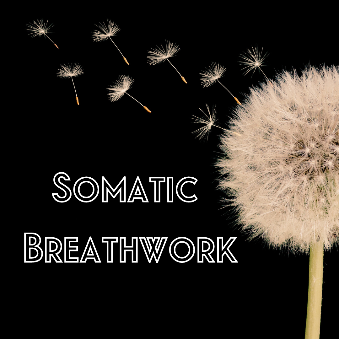 Somatic Breathwork Group Session 