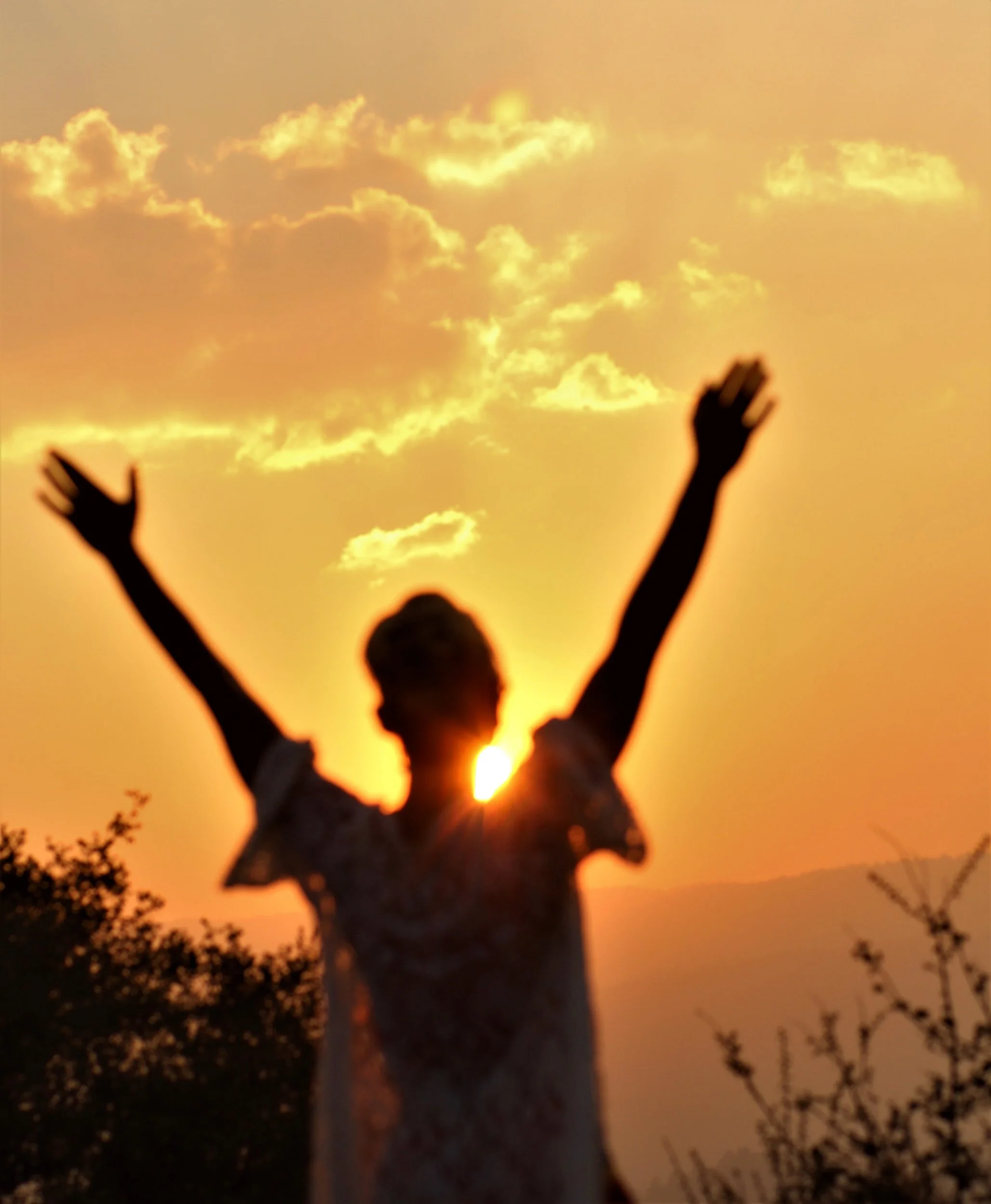 It’s Time to Thrive: Letting Go of Survival Mode So You Can Live the Life You Want