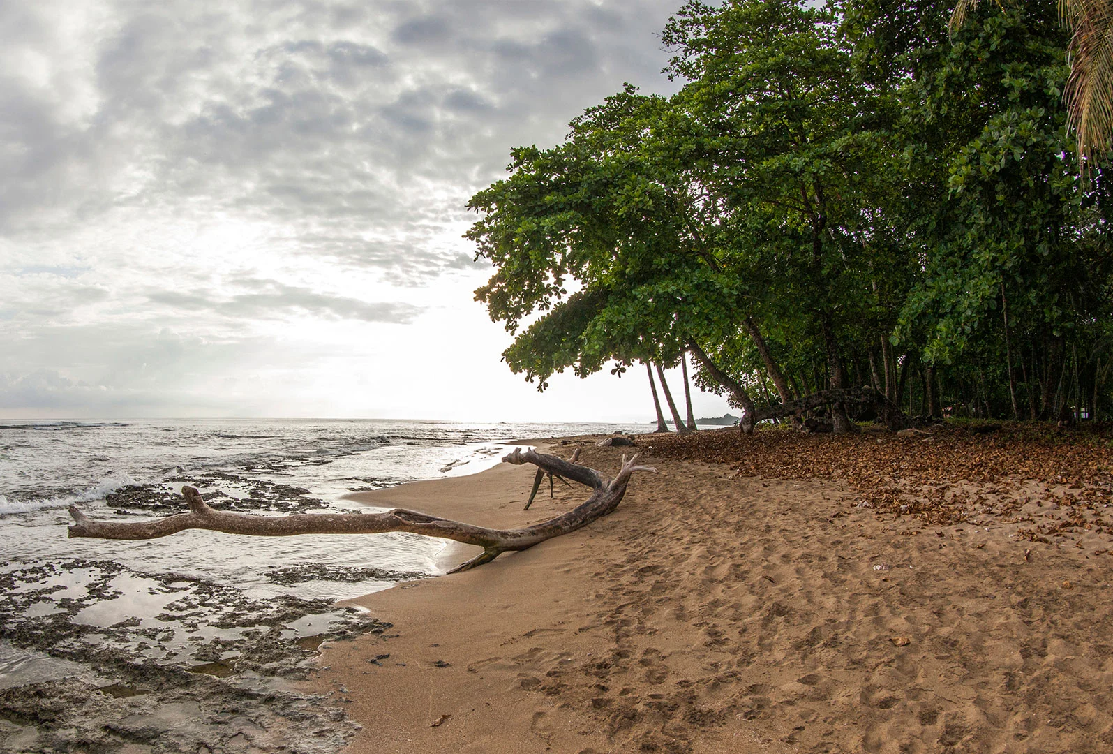 Playa Chiquita, Limón. Costa Rica.