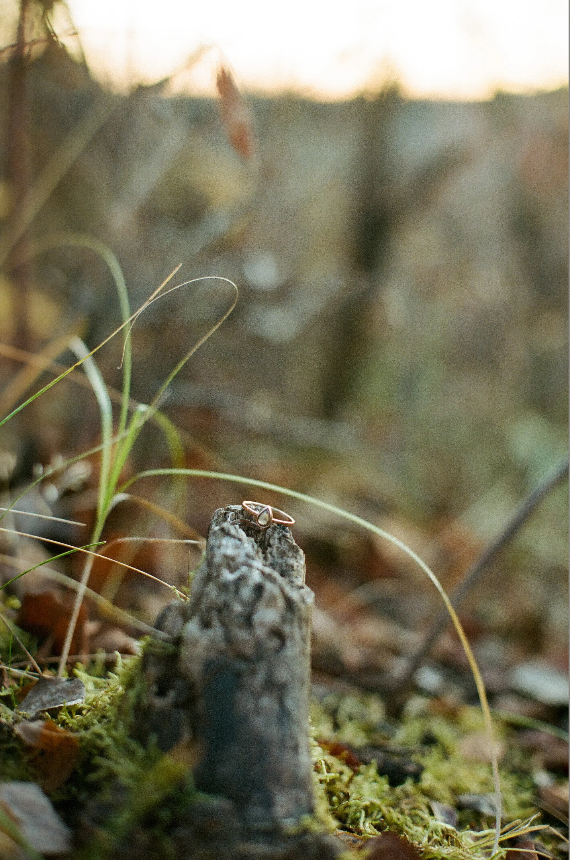 0015_22A.jpg