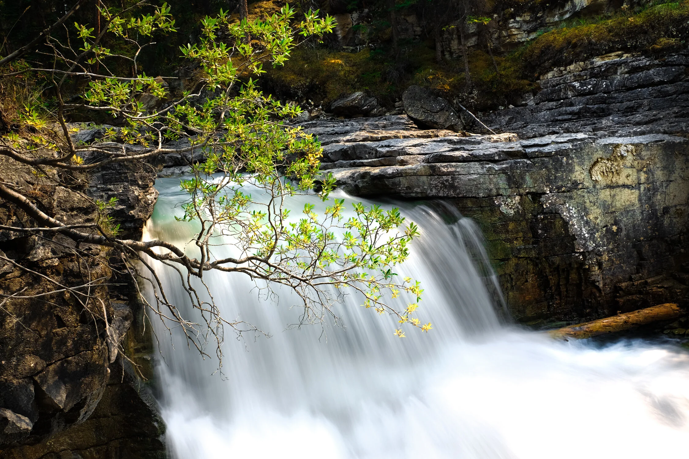 DSCF5923.jpg