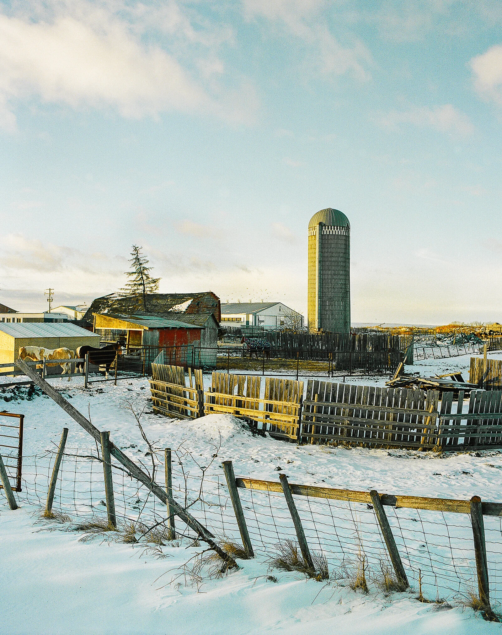 Winter Landscape Rural Alberta tif-2-2.jpg