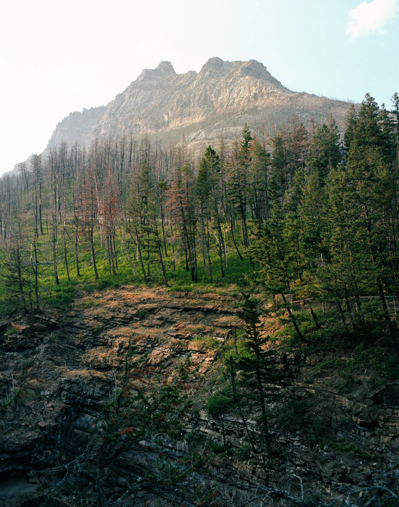 Waterton Cliffside.jpg