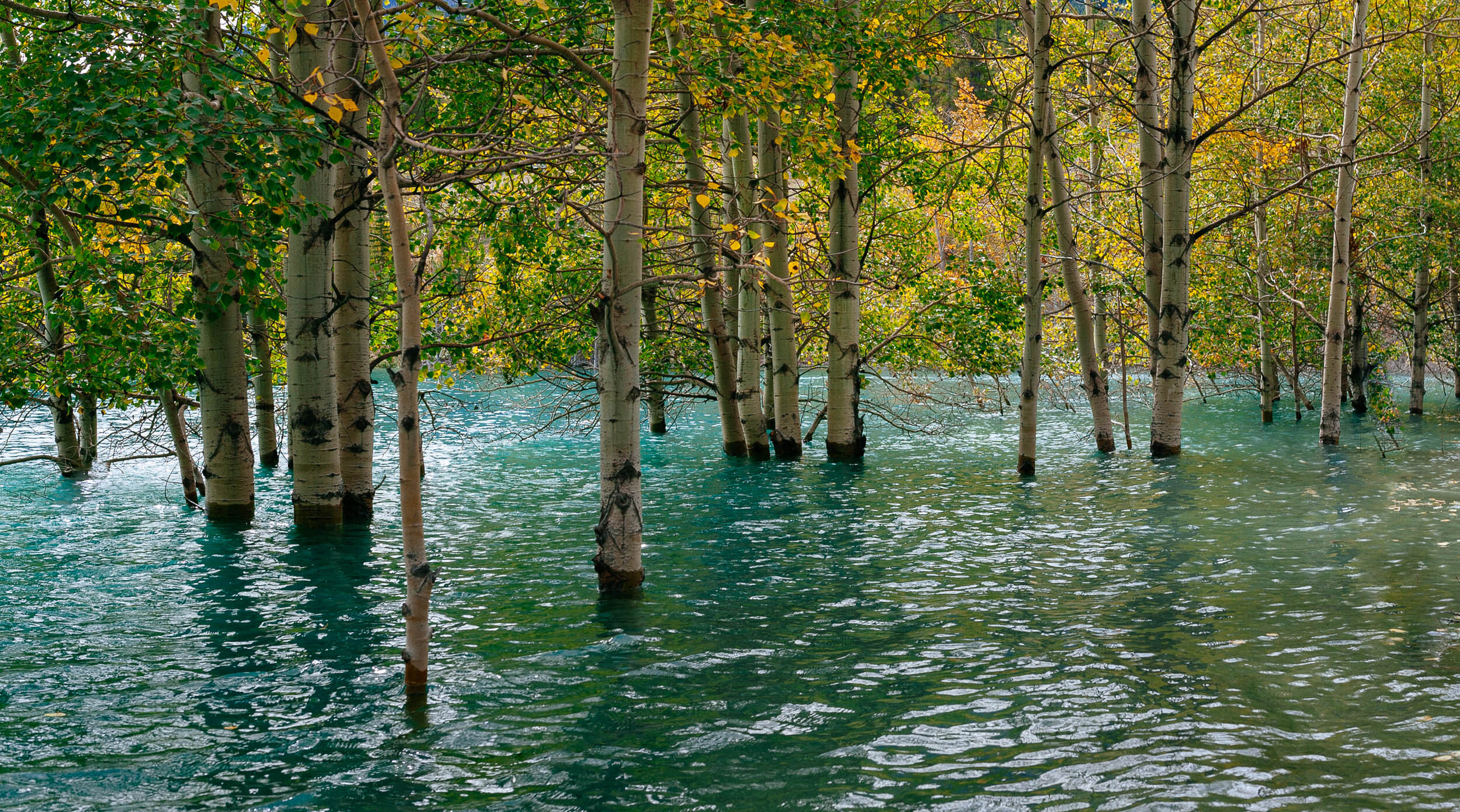 DRP_4414-Pano.jpg