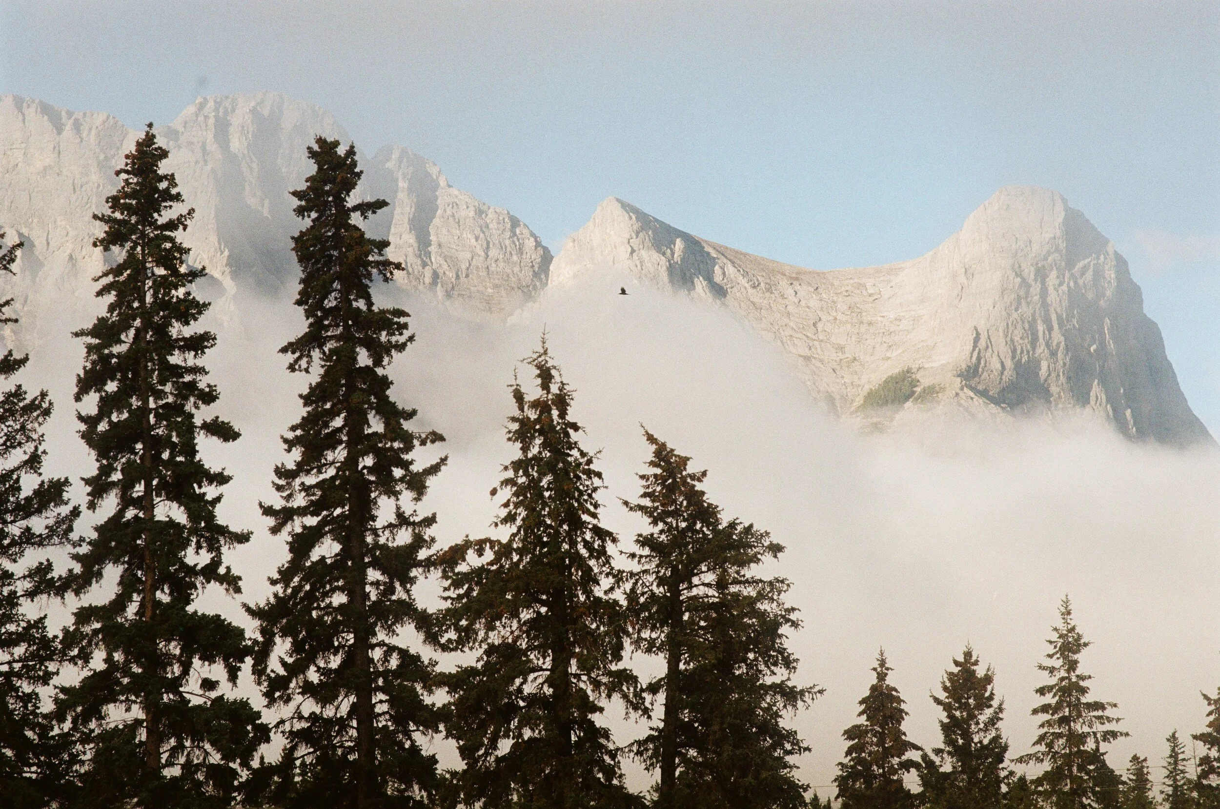 Mountain from window .jpg