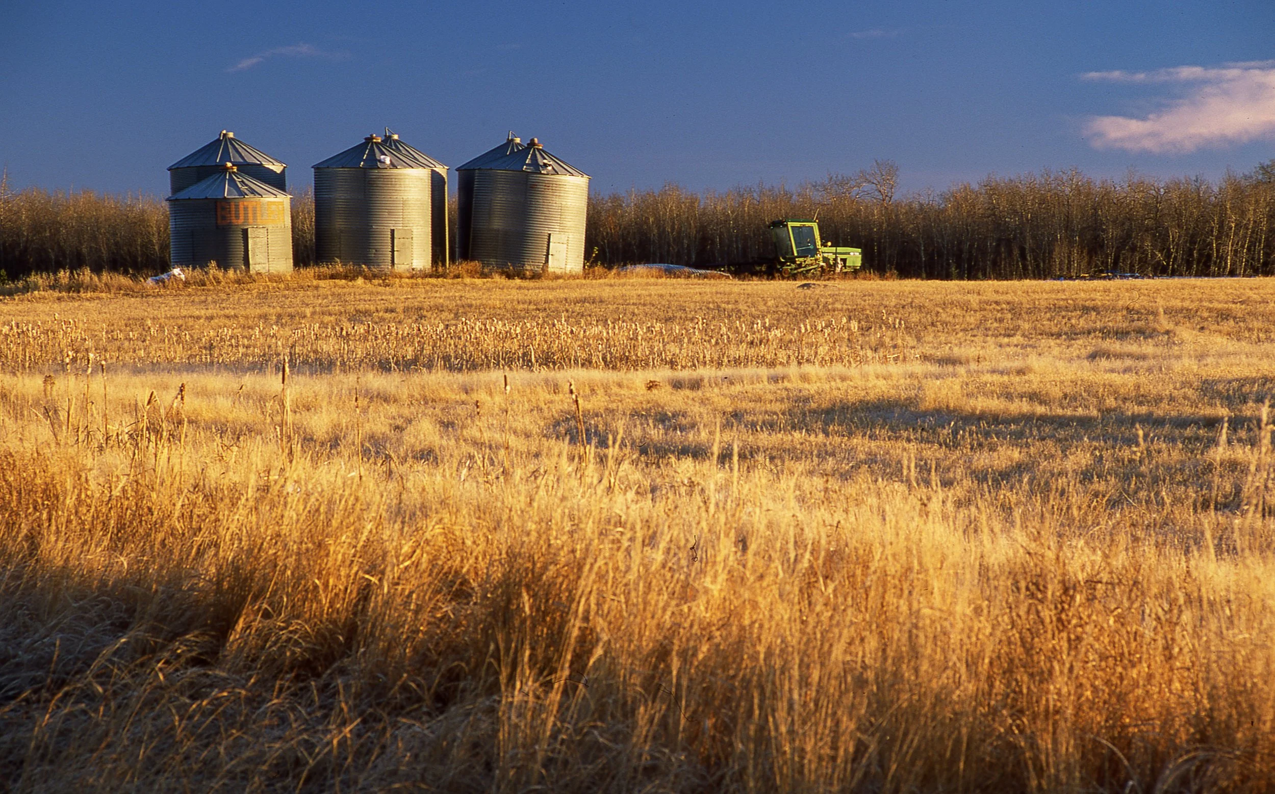 Provia 100F - Barn 6400177.jpg