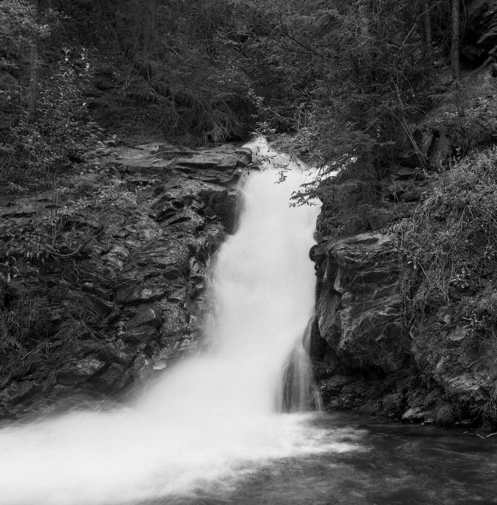 Image 160.jpg
