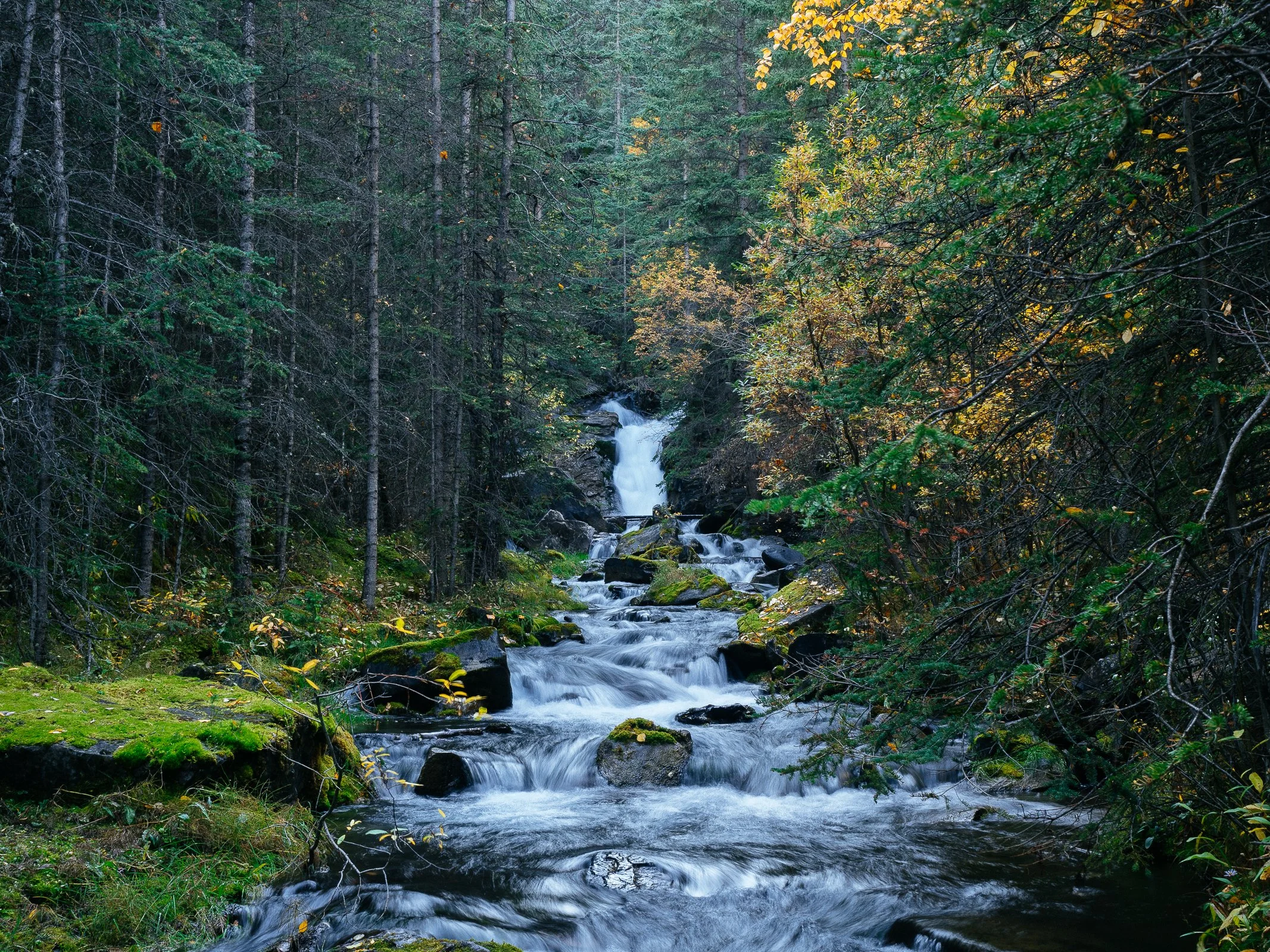 Fuji Velvia 50.jpg
