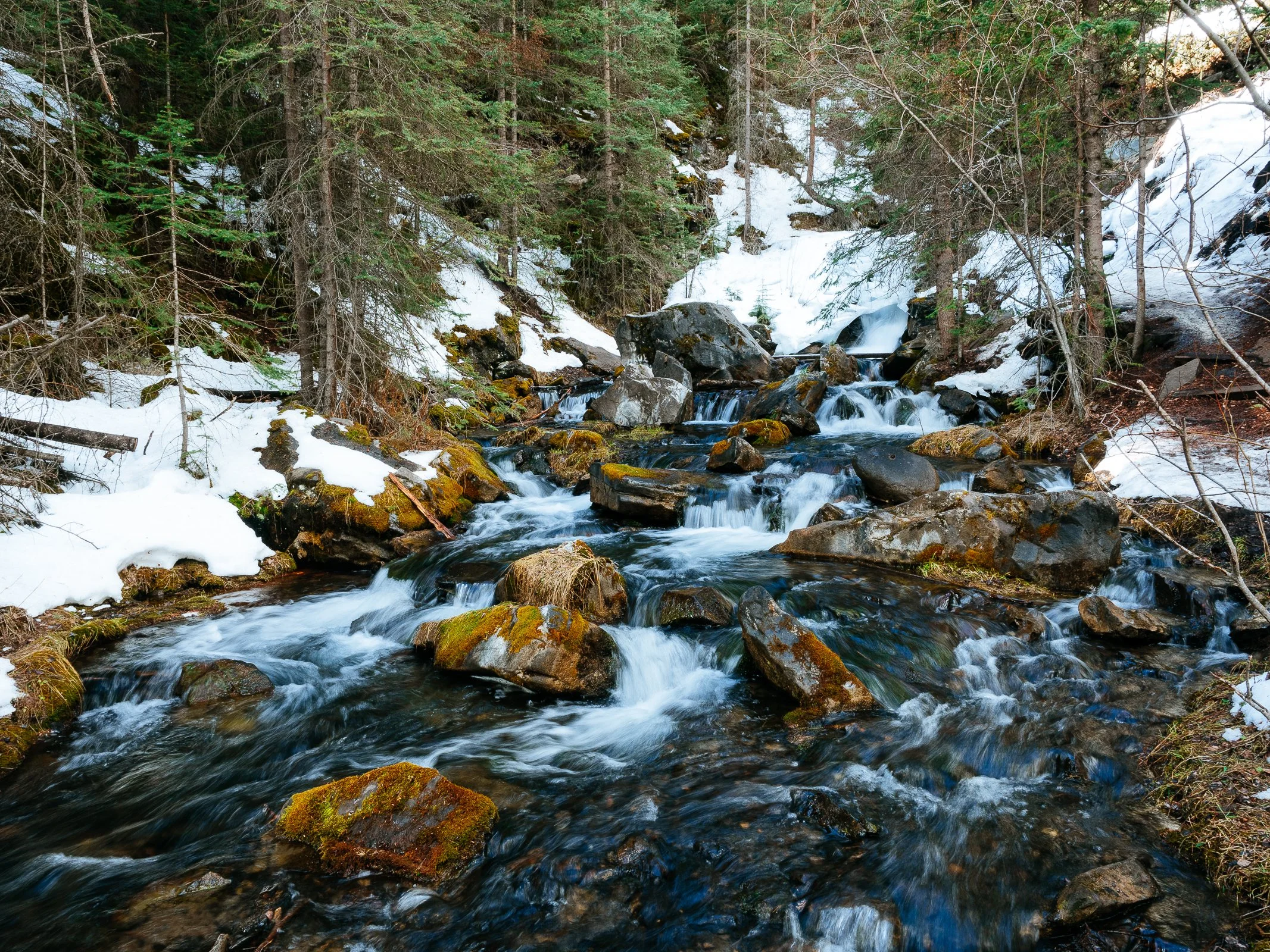 Velvia 50 (Cool Balanced).jpg