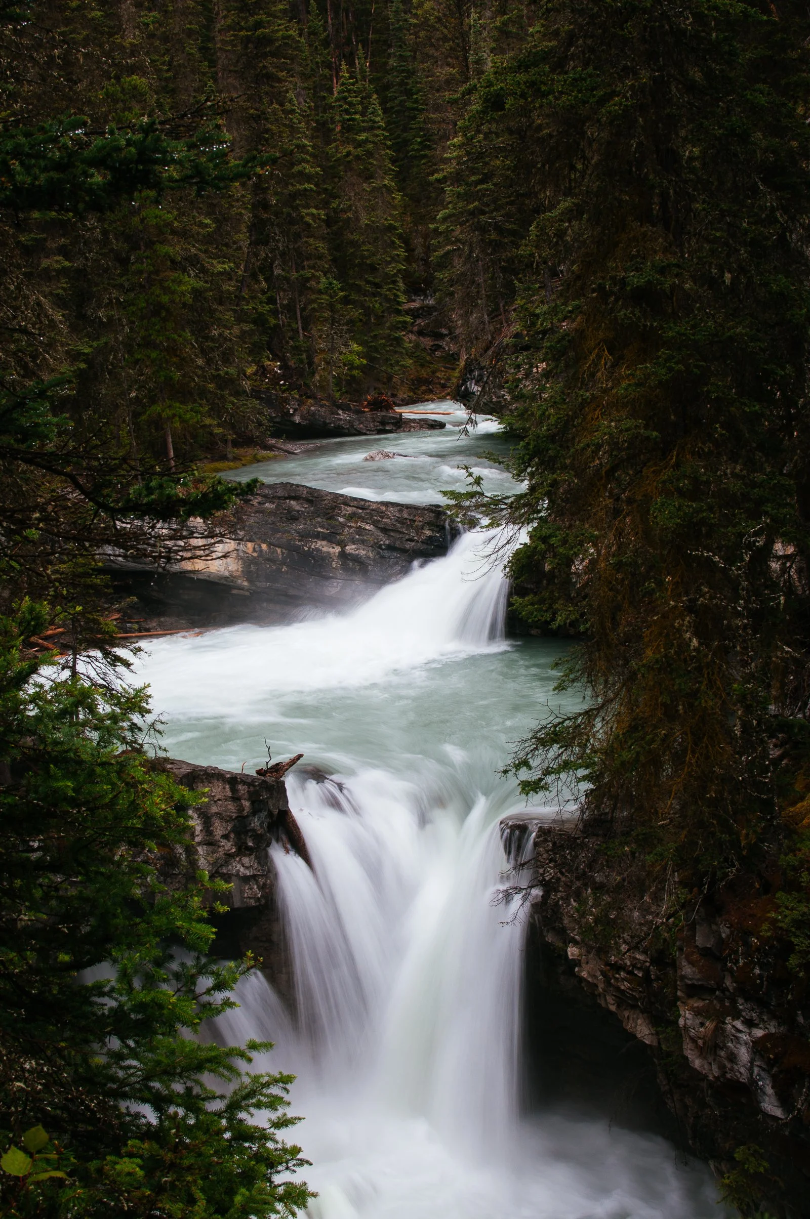 DSC_4417.jpg
