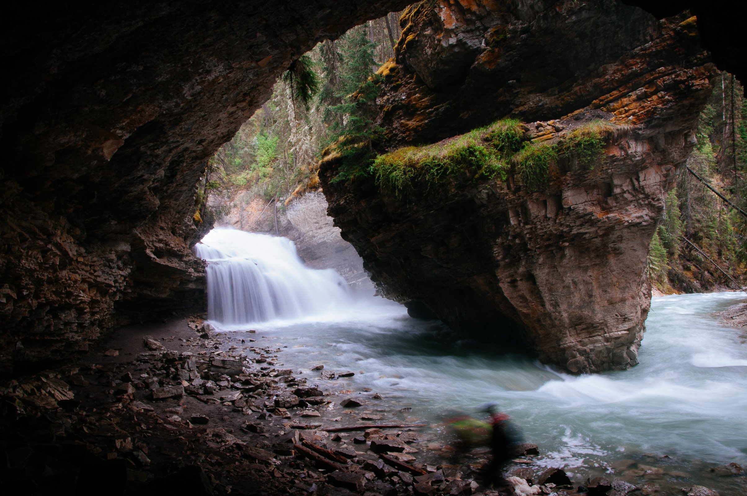 DSC_4447.jpg