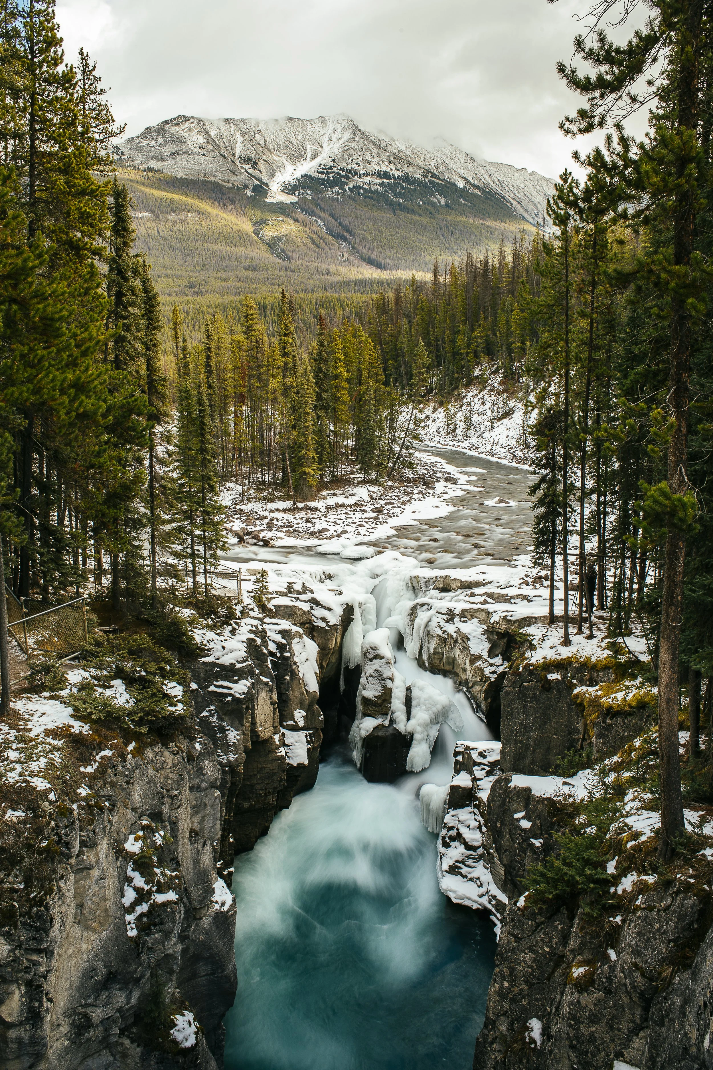 DSC_0626.jpg