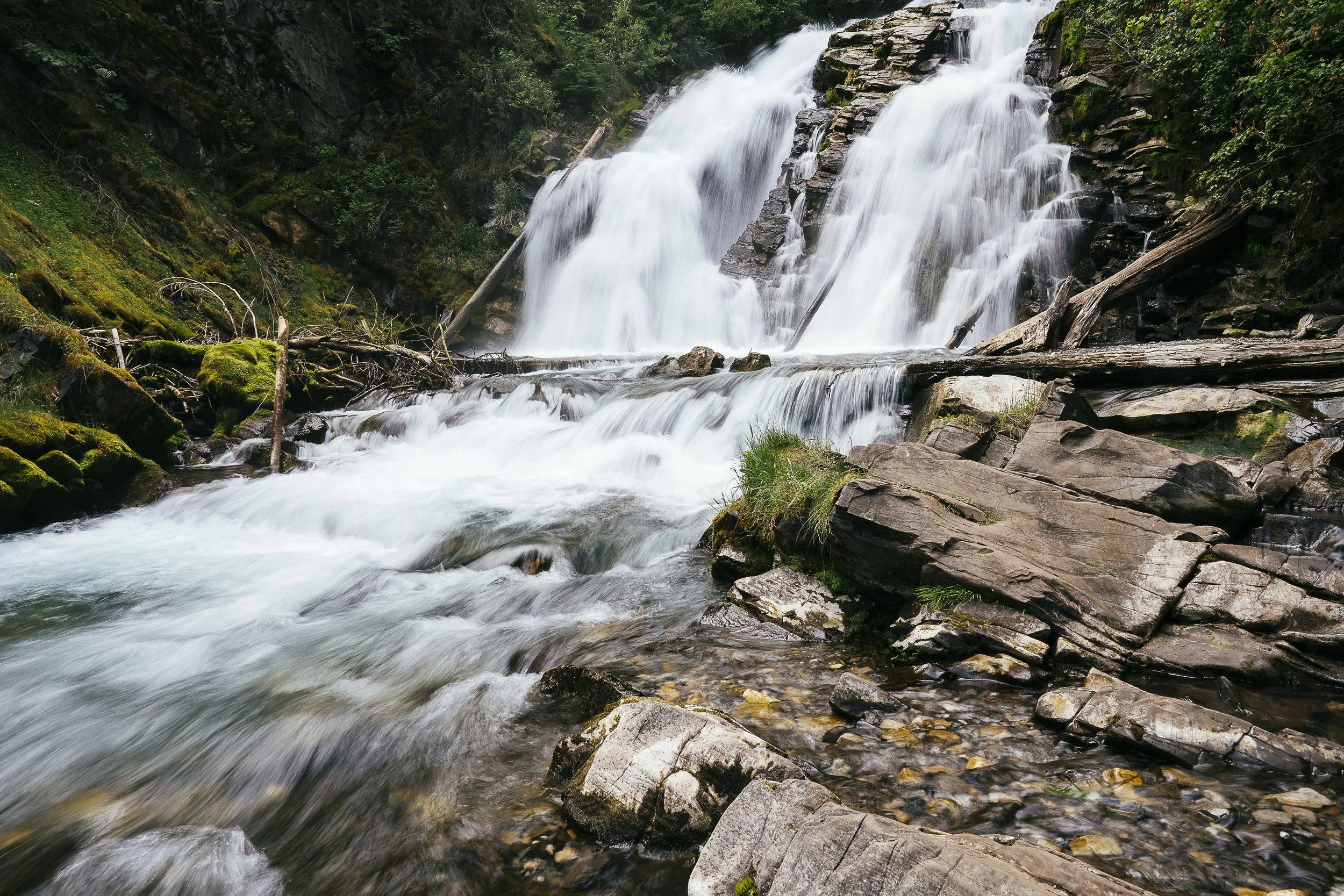 DSC_4950-1.jpg