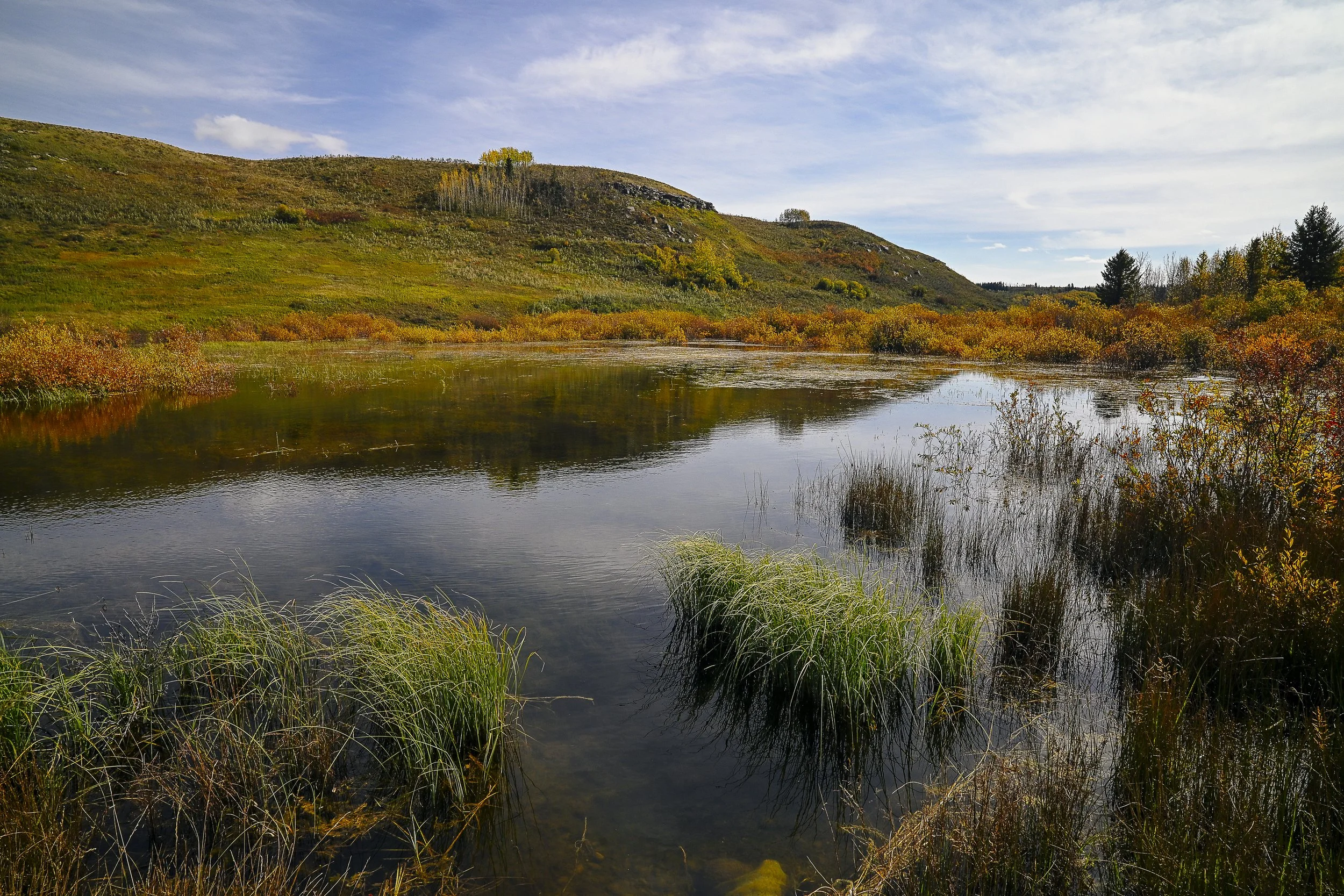 DSC_5351-1.jpg