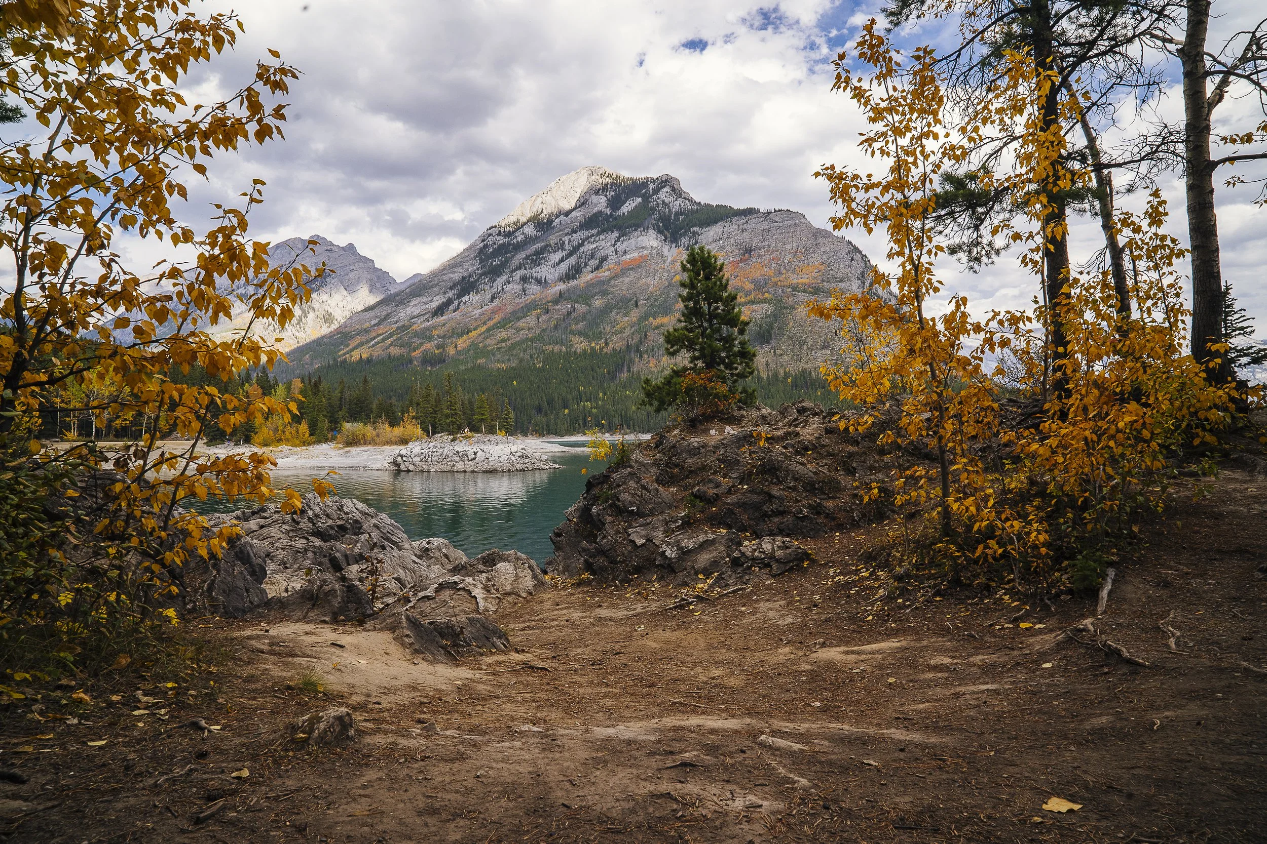 DSC_5430-1.jpg