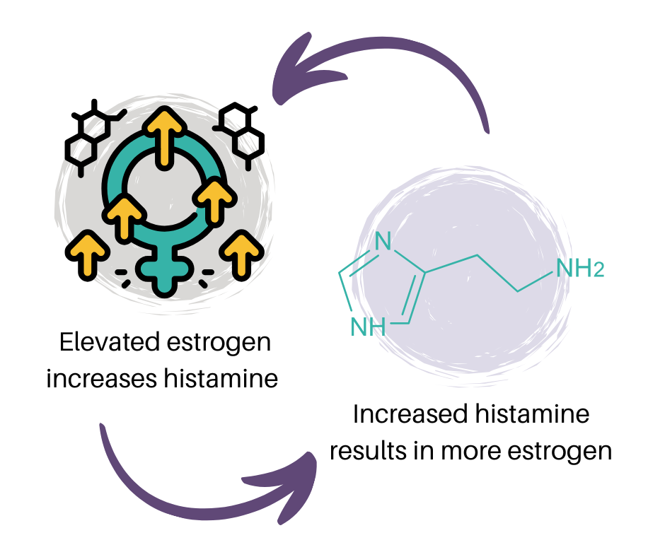 Histamine and estrogen