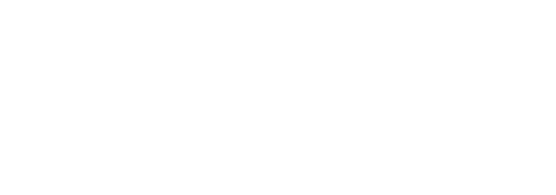 reformerfit.png
