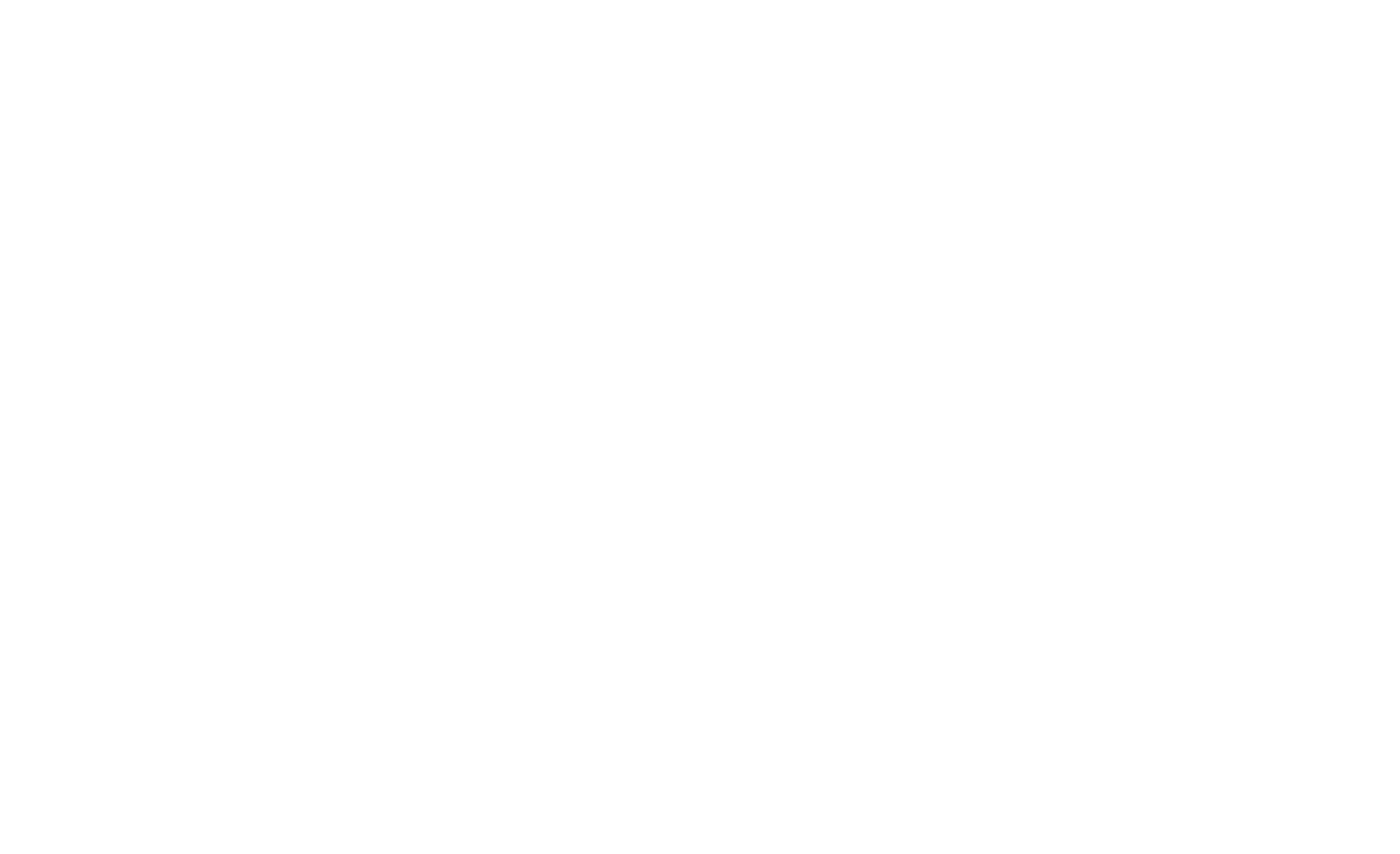 brandix_white.png