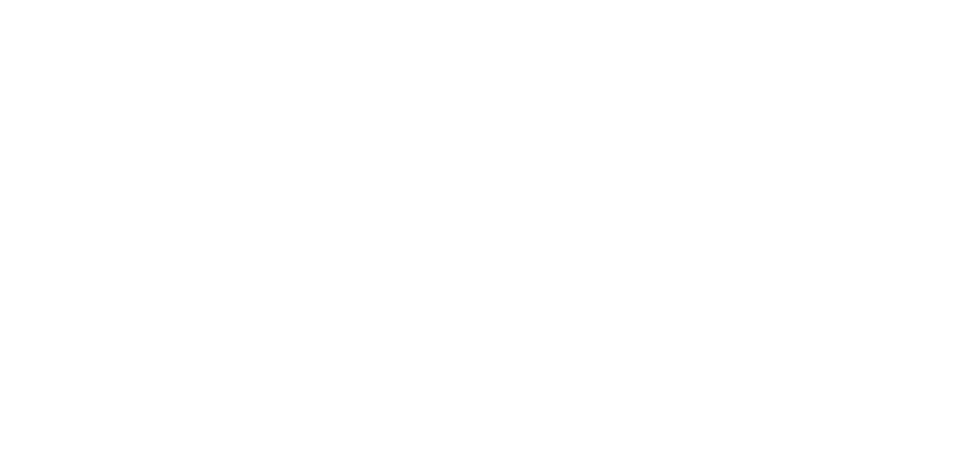 the-north-face-seeklogo white.png