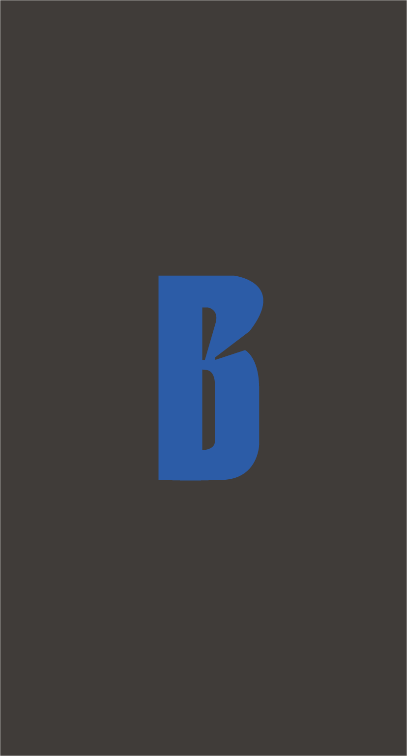 BLOM DOCTORES
