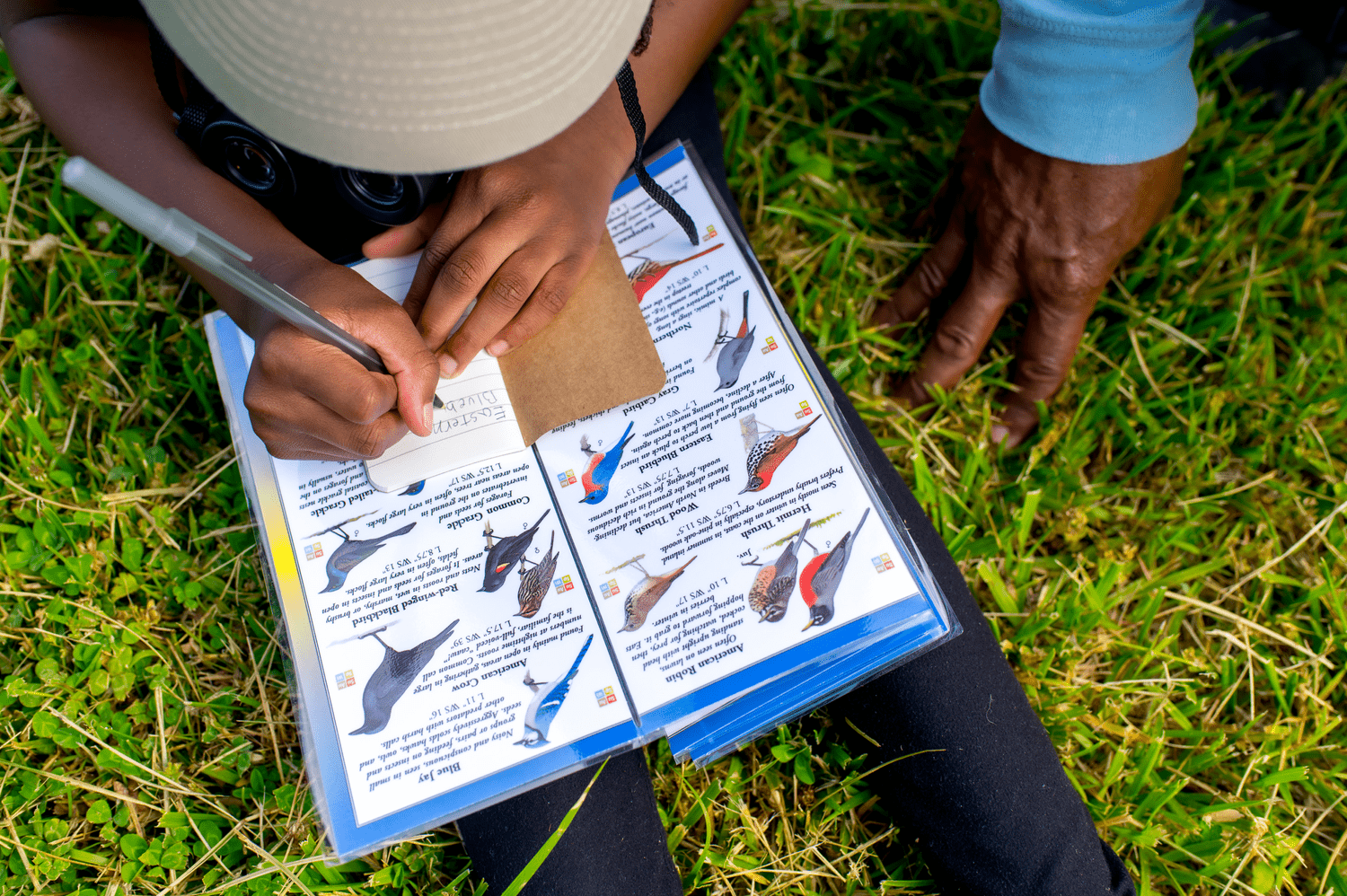 DCBA youth bird identification.png