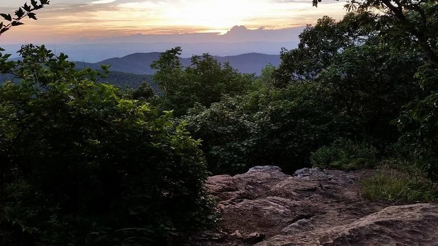 Backpacking & Birding