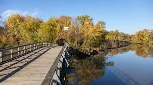 Bird Walk at Kingman Island