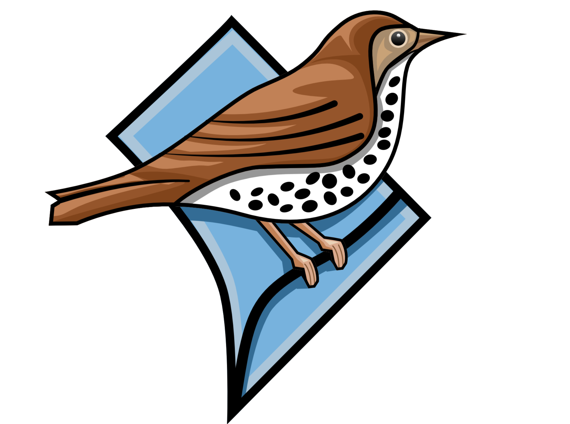 A Year In Flight: DC Bird Alliance Annual Meeting