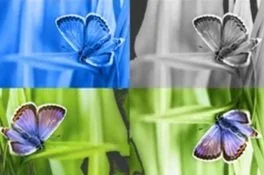 Google made a watermark for AI images that you can’t edit out 