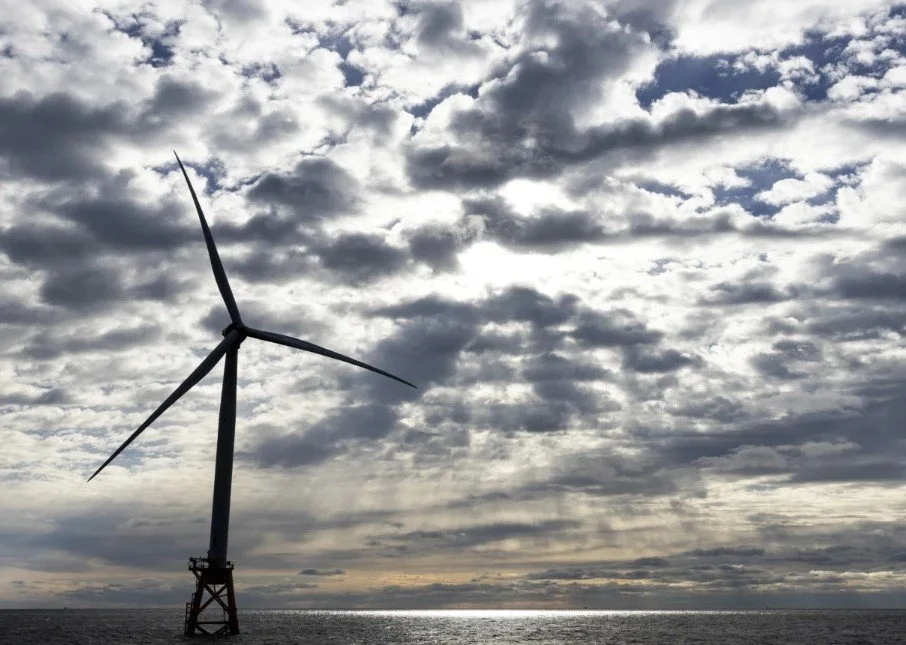 Contrary to politicians’ claims, offshore wind farms don’t kill whales. Here’s what to know.