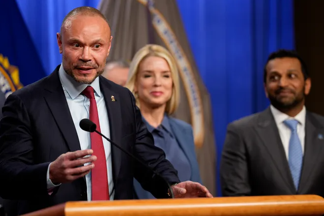 Bongino on past pipe bomb cover-up claim: ‘I was paid … for my opinions’