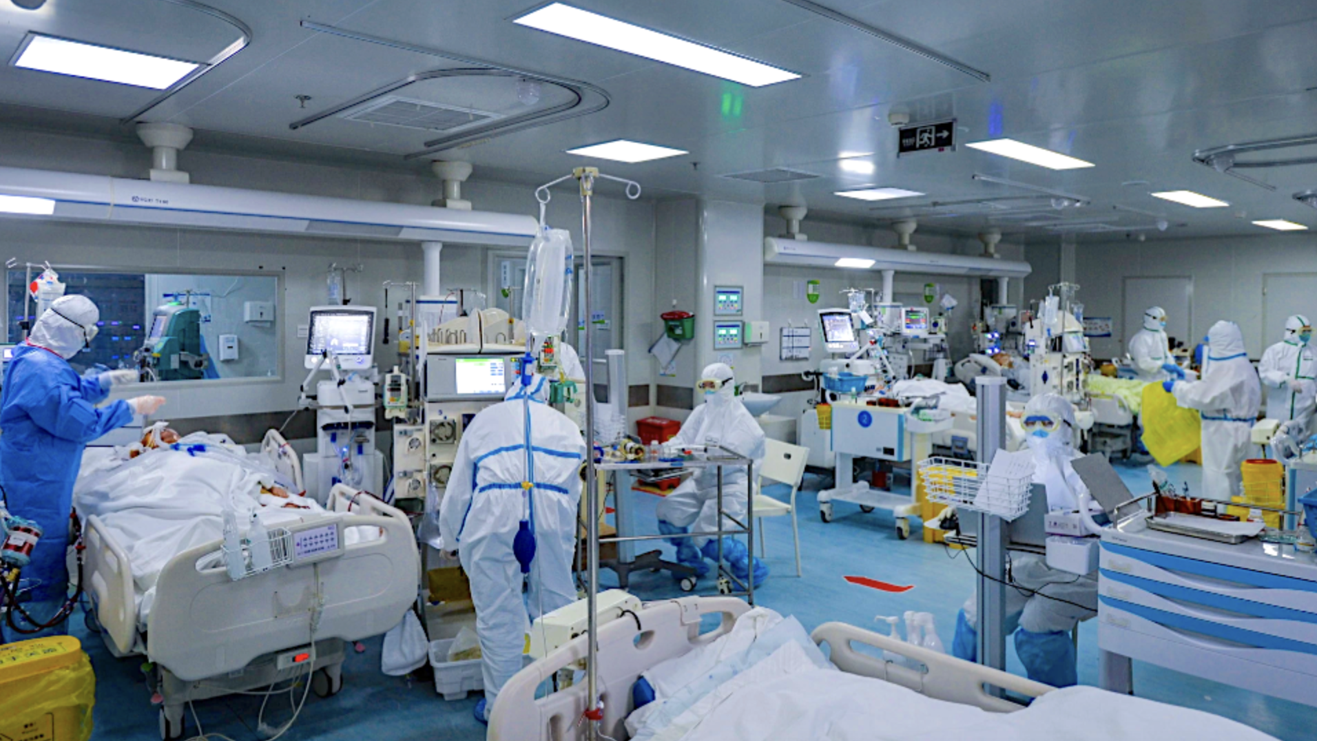 It's High Time to Reclaim Clarity on Tribalism's War on Truth