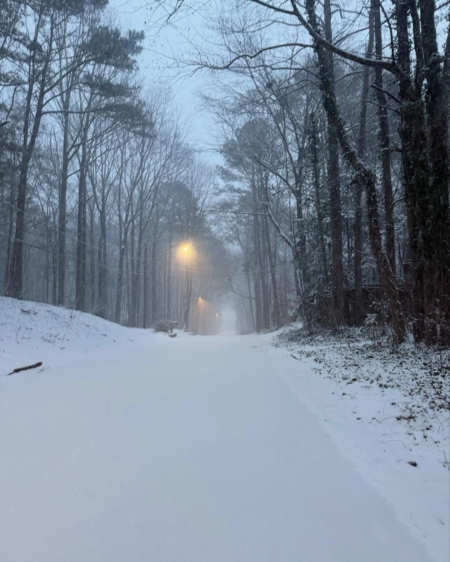 Georgia Snow! ❄️❄️❄️