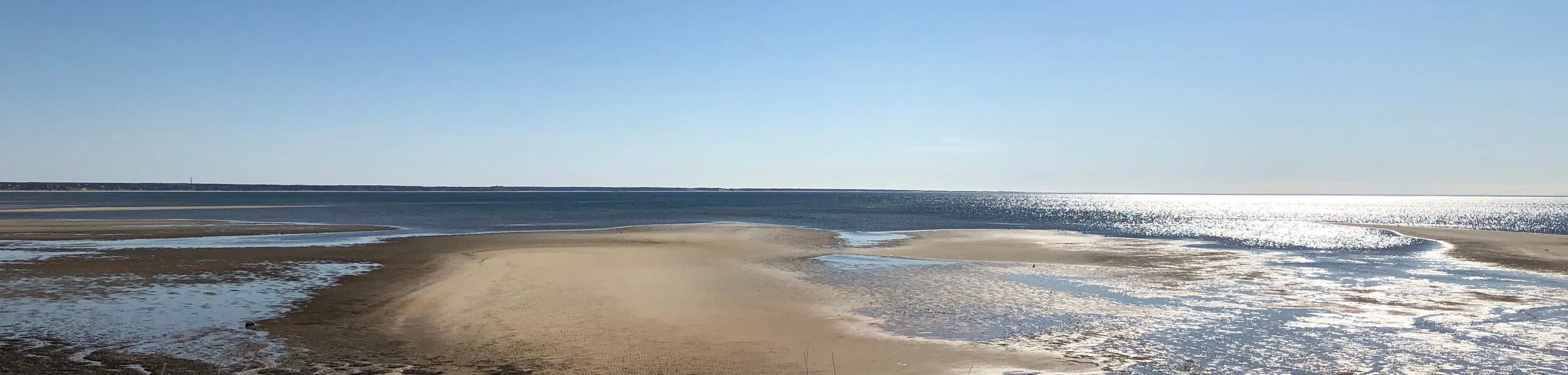 About Sarah Pechukas Sweet Briar At William Raveis Real Estate