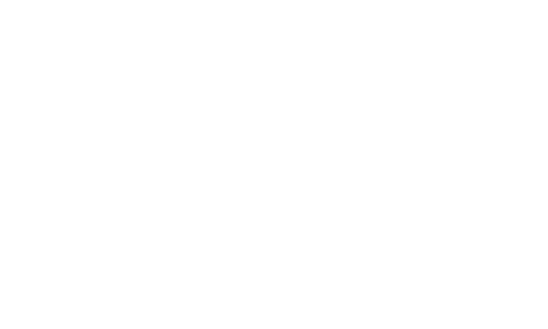 SELF Logo.png