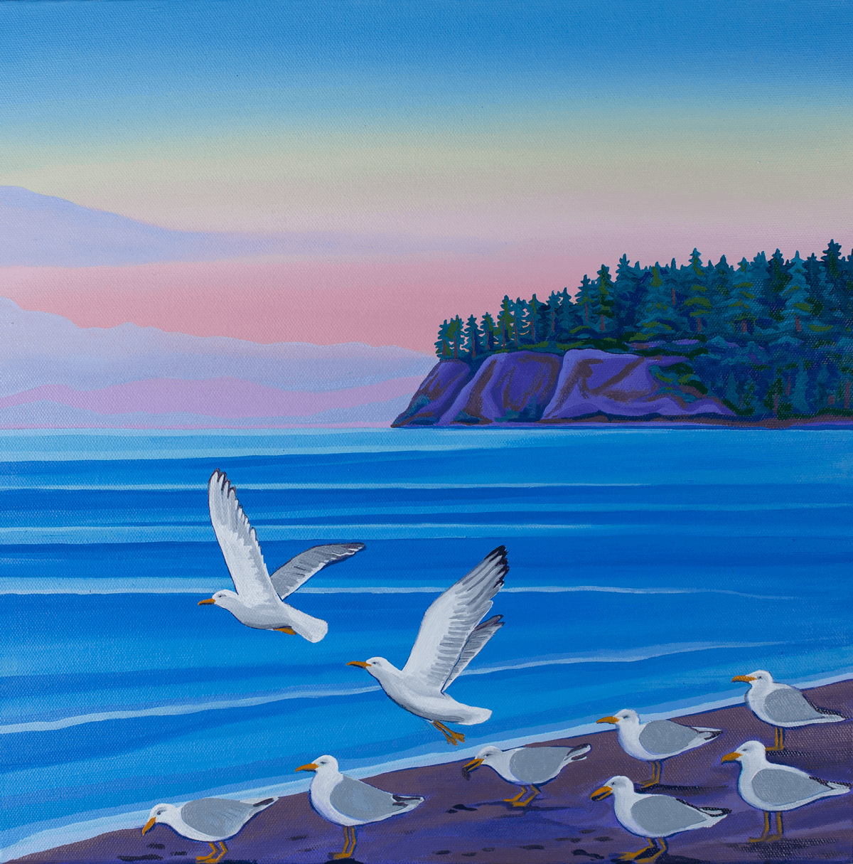 seagulls-on-coast.png
