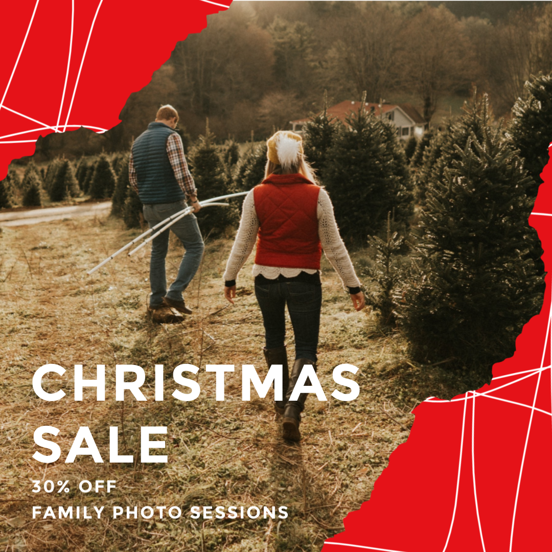Photo Perfect Christmas Instagram.png