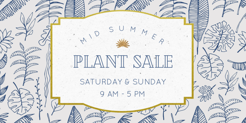 One Dry Succulent Sale.png
