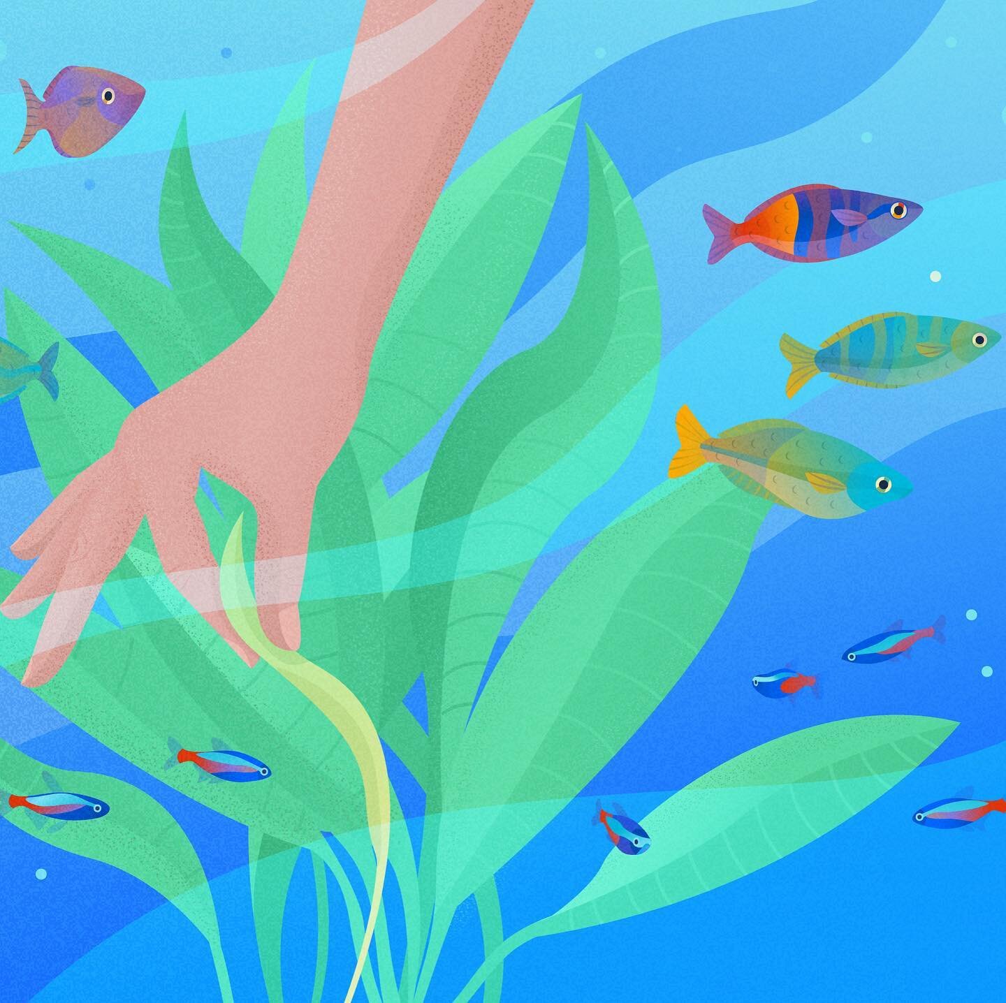 Time for some tidying up 🌱
&bull;
&bull;
&bull;
#fishtank #rainbowfish #tropical #aquarium #aquariums #waterchange #cleaning #illustration #illustrationartists #illustrationart #illustrationoftheday